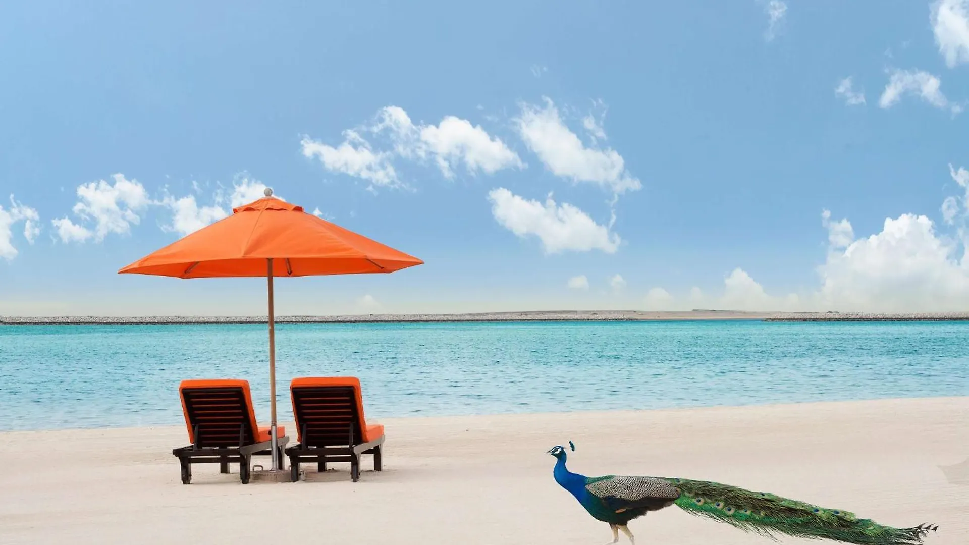 Ja Palm Tree Court, Dubai Hotel